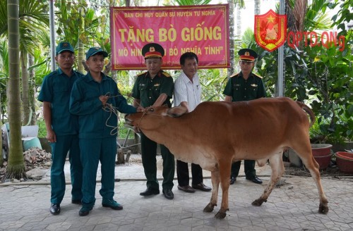 Ban CHQS huyện Tư Nghĩa trao tặng bò giống cho chiến sĩ dân quân cơ động 