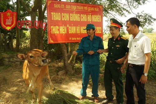 Ban CHQS thành phố tặng bò giống cho hộ nghèo