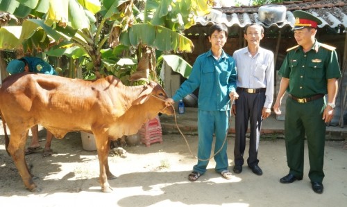 Ban CHQS Thành Phố trao tặng bò giống sinh sản cho hộ gia  đình dân quân tự vệ.