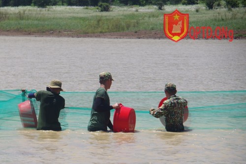 Ban CHQS huyện Lý Sơn thả 10.000 con cá giống để bổ sung, tái tạo nguồn lợi thủy sản ở hồ chứa nước Thới Lới