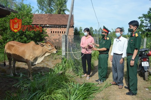  Ban CHQS huyện Bình Sơn trao bê giống cho hộ nghèo.