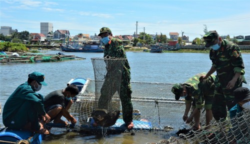 LLVT thành phố Quảng Ngãi giúp dân thu hoạch 1,5 tấn cá