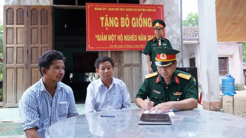 Cán bộ, chiến sỹ Ban CHQS huyện Sơn Hà  tặng bò giống cho gia đình anh Đinh Văn Tráy