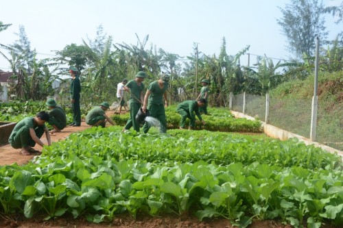 Các đơn vị trong LLVT tỉnh đẩy mạnh công tác tăng gia sản xuất