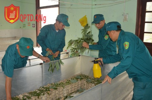 ĐIỂM SÁNG TỪ NHỮNG MÔ HÌNH CỦA LỰC LƯỢNG DÂN QUÂN THƯỜNG TRỰC QUẢNG NGÃI