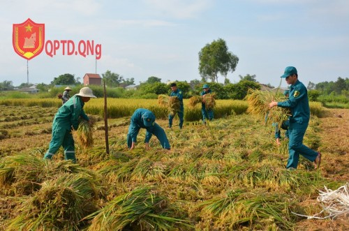   HỌC BÁC TỪ NHỮNG ĐIỀU BÌNH DỊ